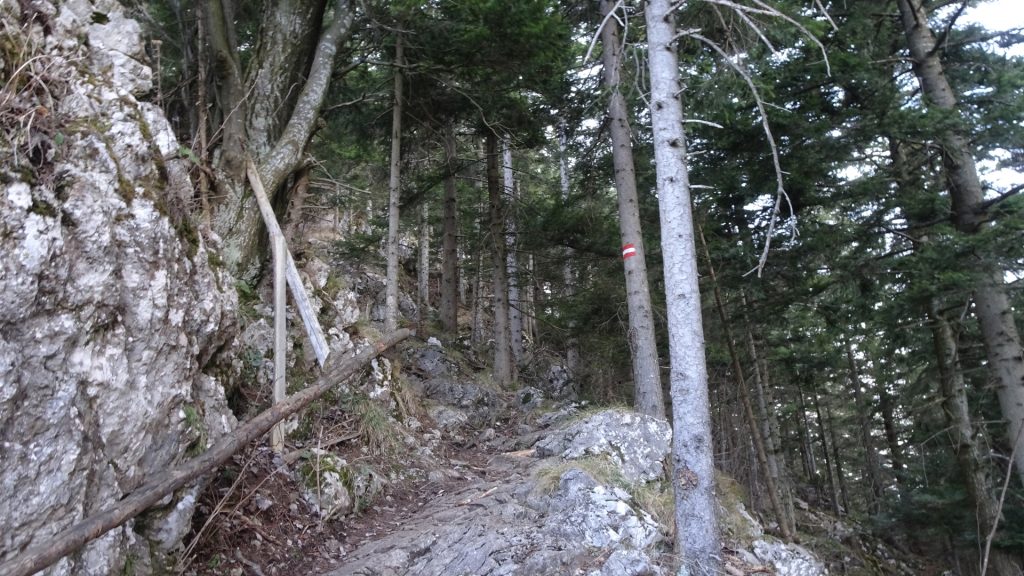 Trail towards "Gelände"