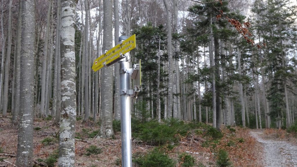Follow the signpost towards "Teufeslbadstubensteig"