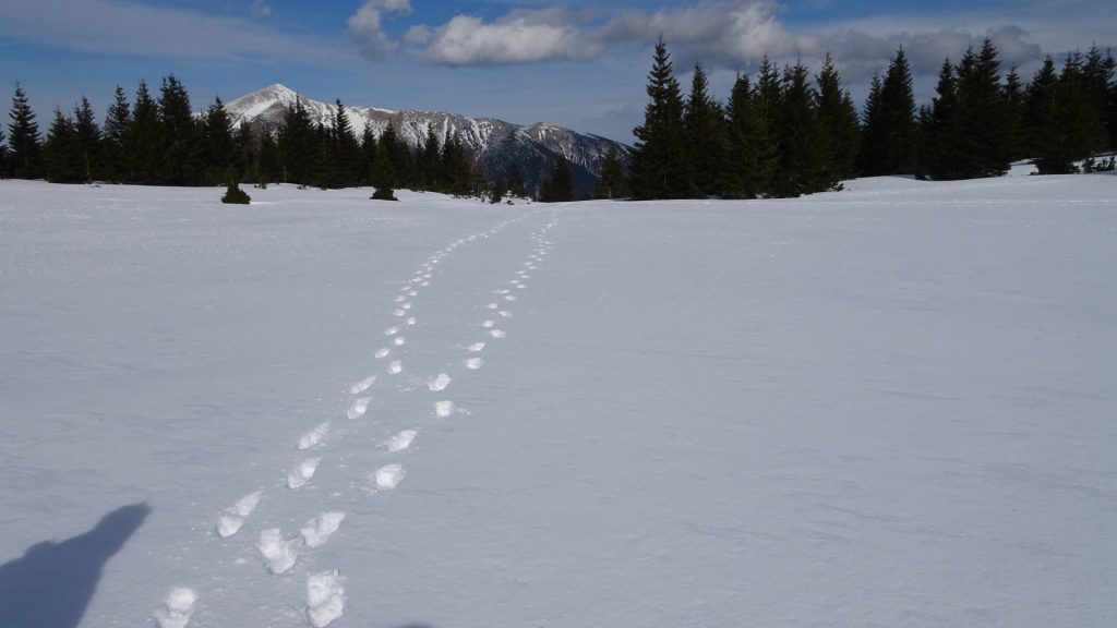 Stefan and Robert leaving footprints in the snow