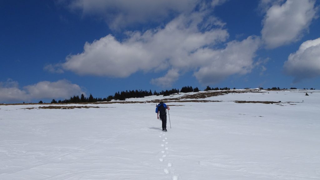 Robert hikes through the snow