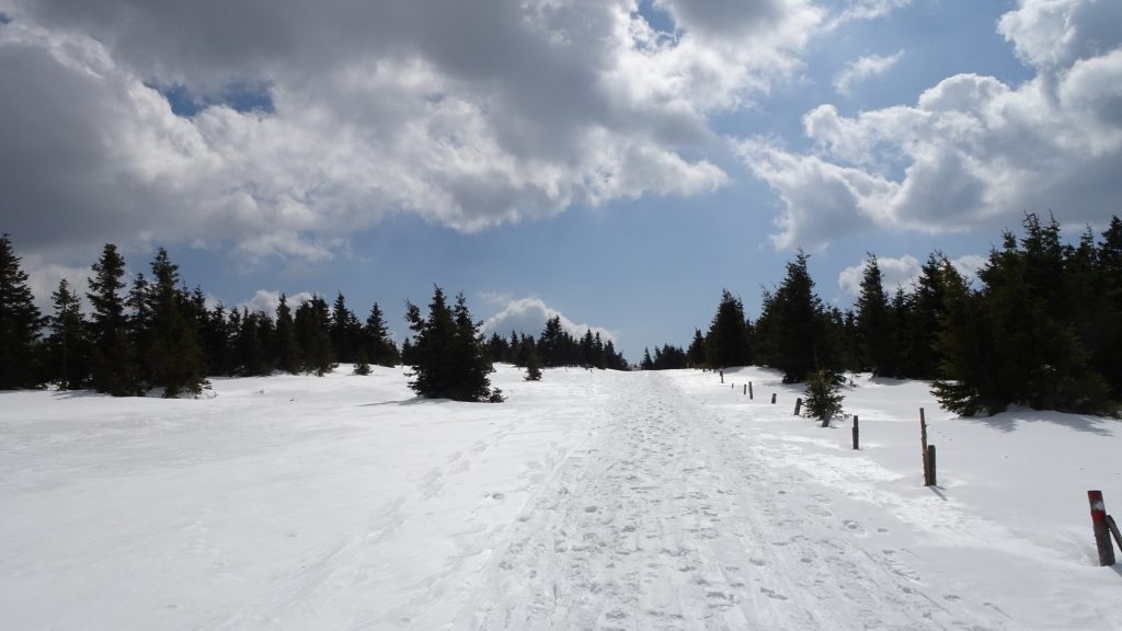 Trail towards "Umschussriegel"