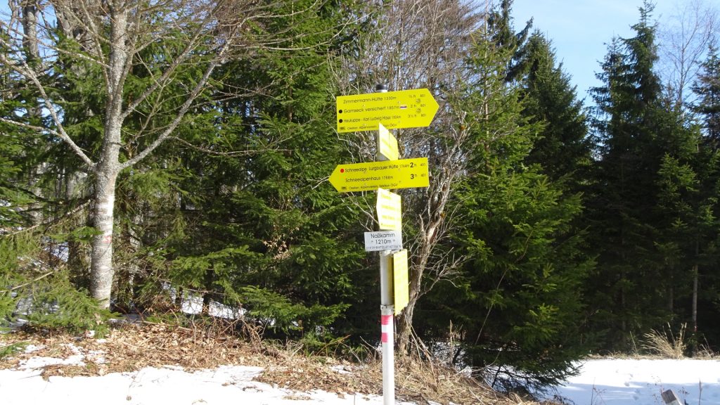 Turn left and follow the trail towards "Schneealpe"