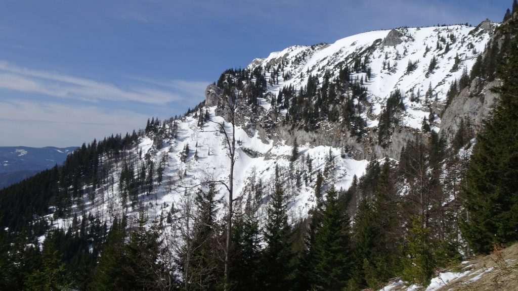 View towards Schneealpe