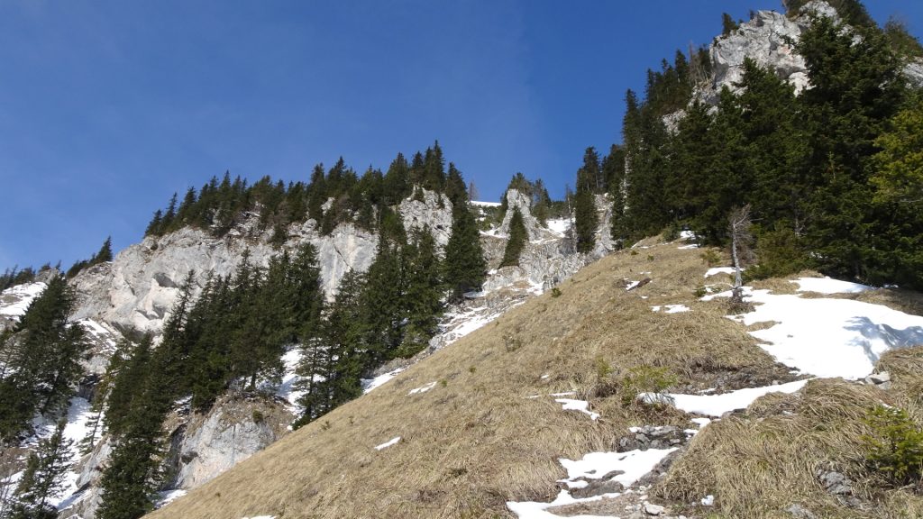 Steep trail at the upper part