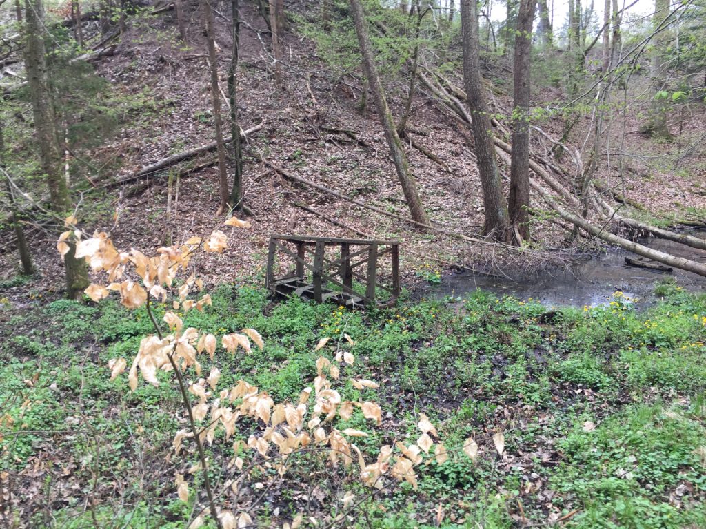 Evidence of former mining at "Tauchen"