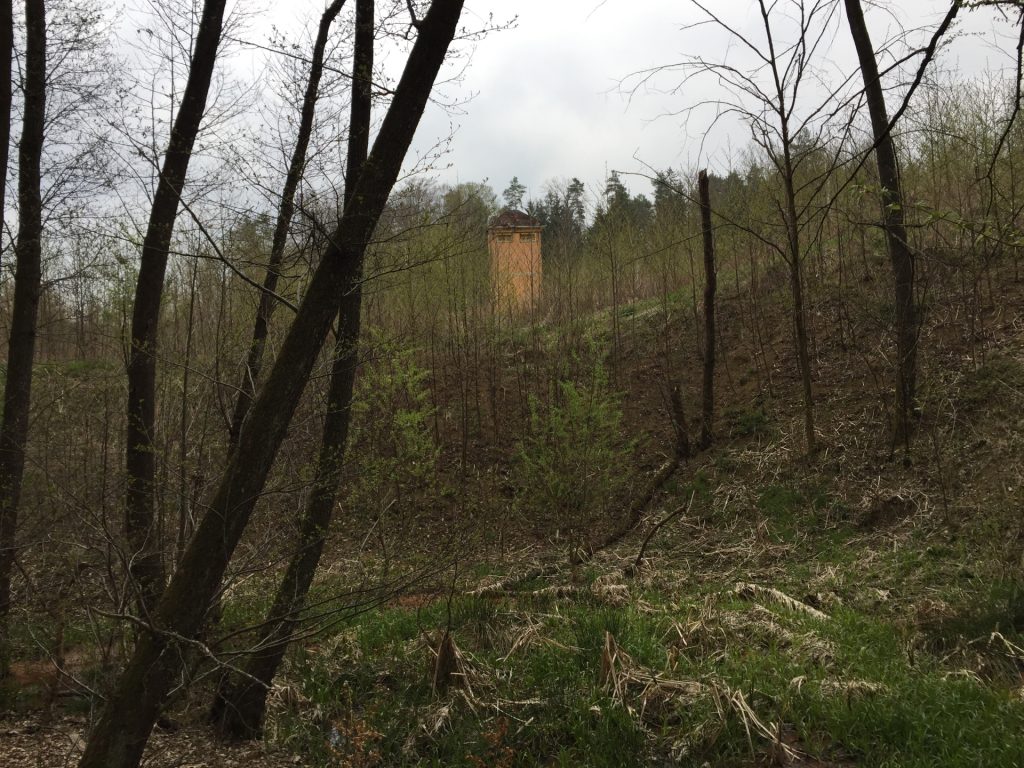 Evidence of former mining at "Tauchen"