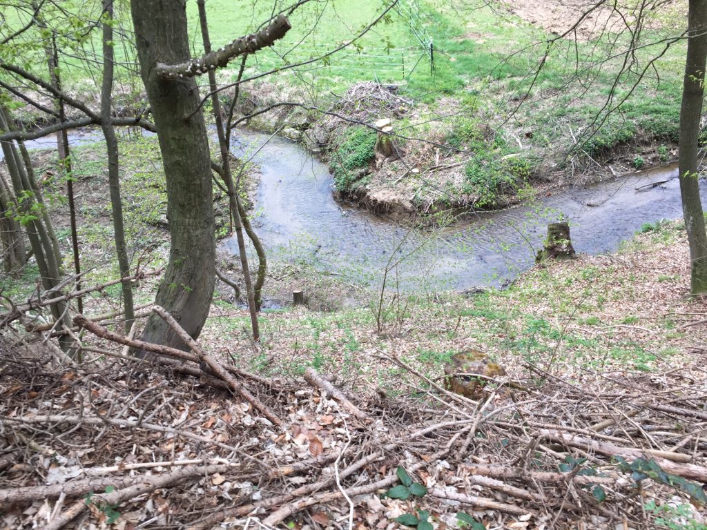 Along the "Tauchenbach" river