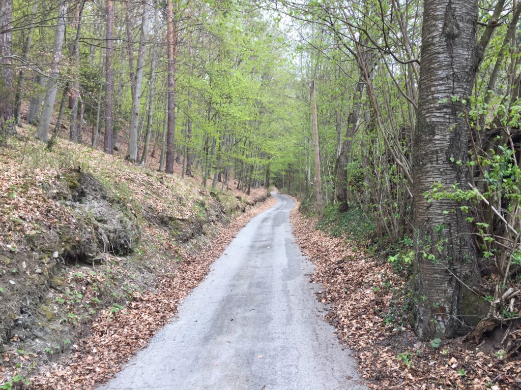 Hiking up the "Eulenweg"