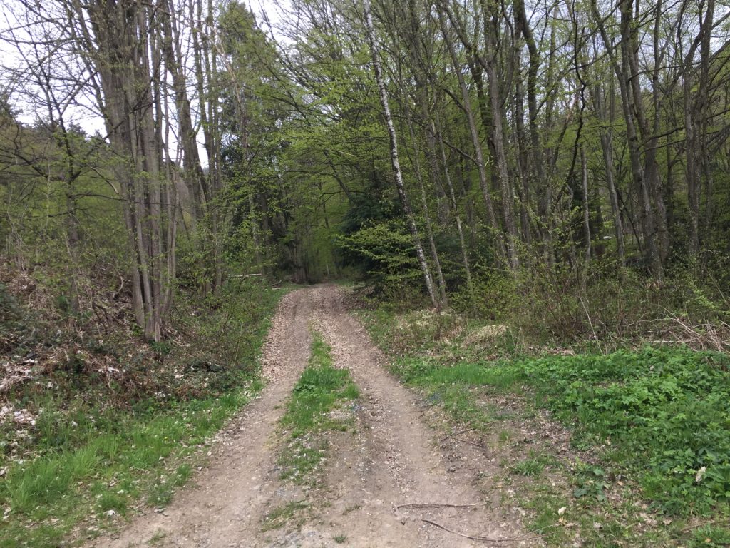 Hiking up the "Eulenweg"