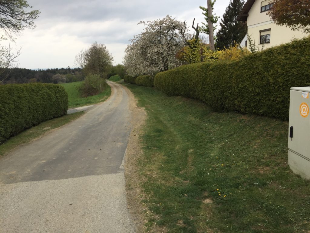 Trail towards "Bad-Tatzmannsdorf"