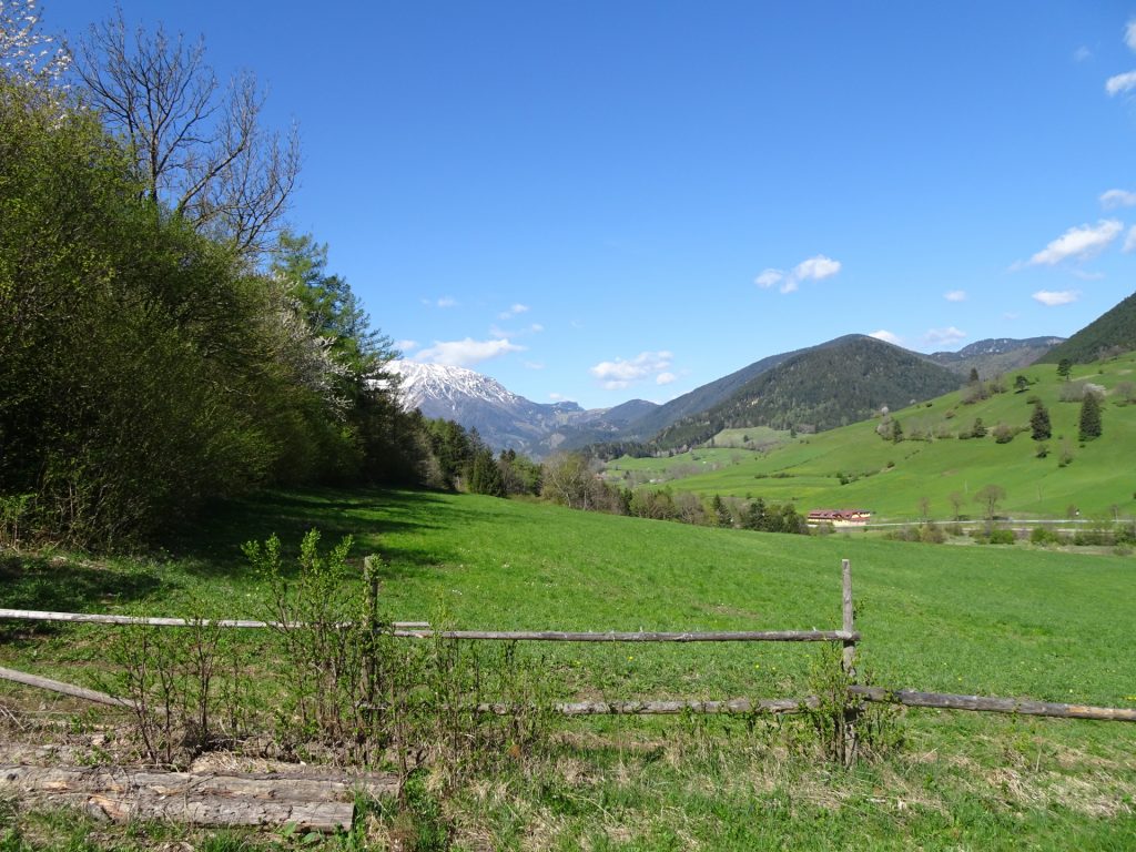 View back towards "Schneeberg"