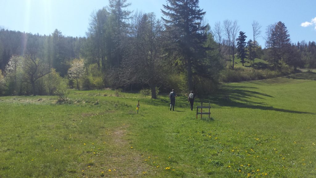 Stefan and Robert on the trail