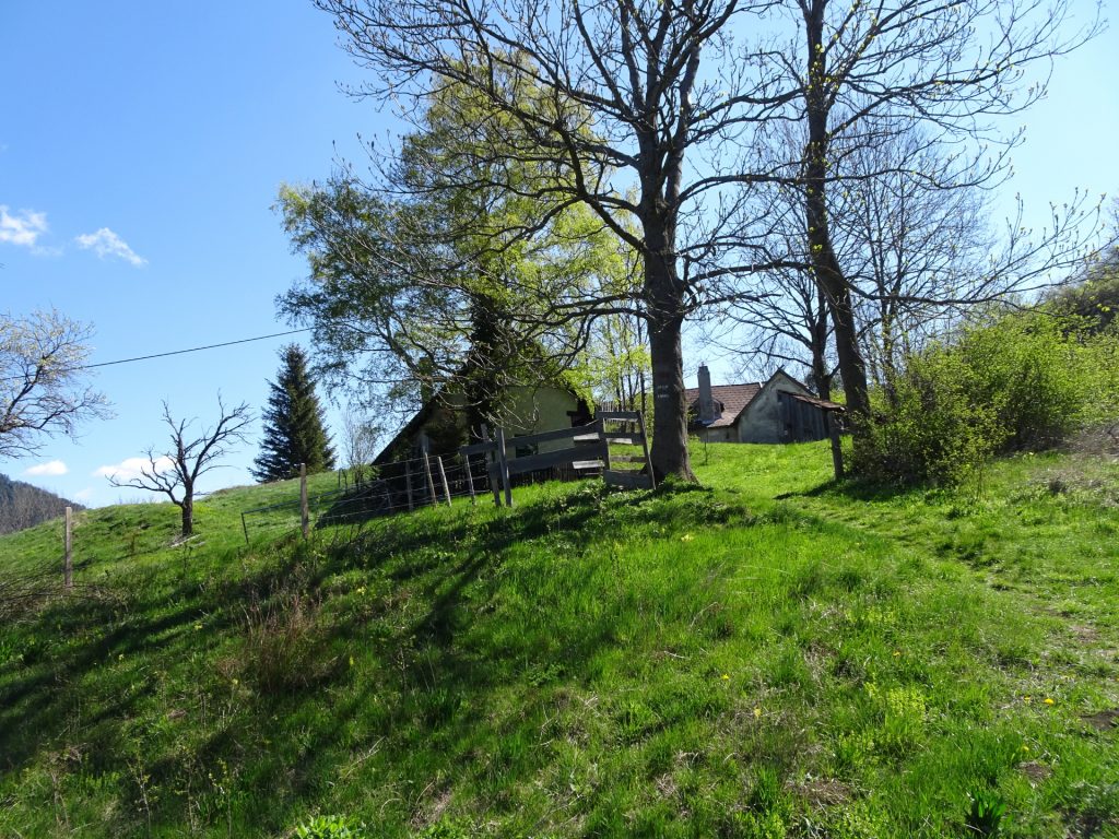 On the trail towards "Grünbacher Sattel"