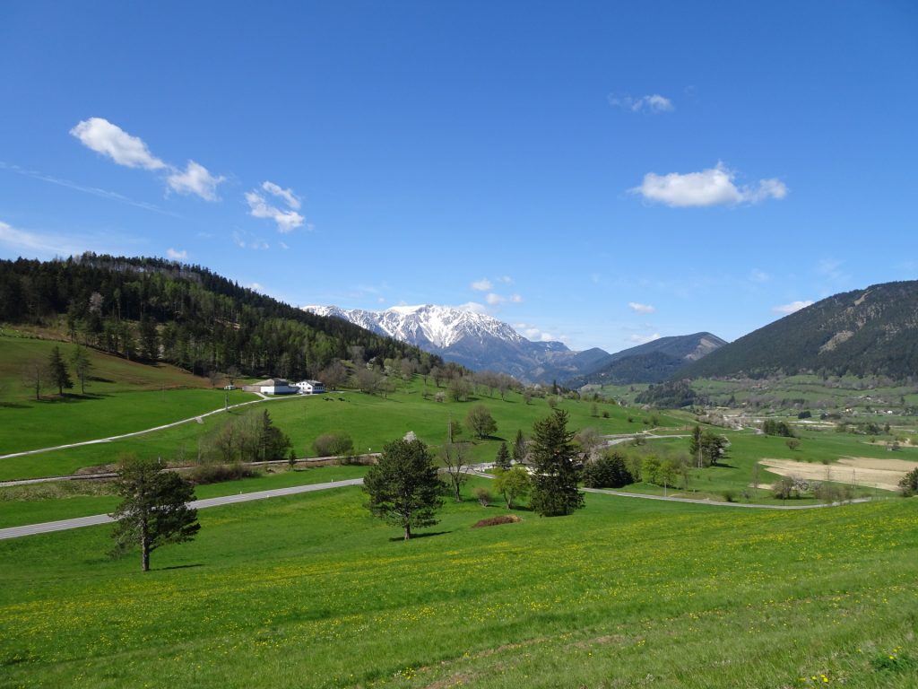 View back towards "Schneeberg" from "Grünbachsattel"