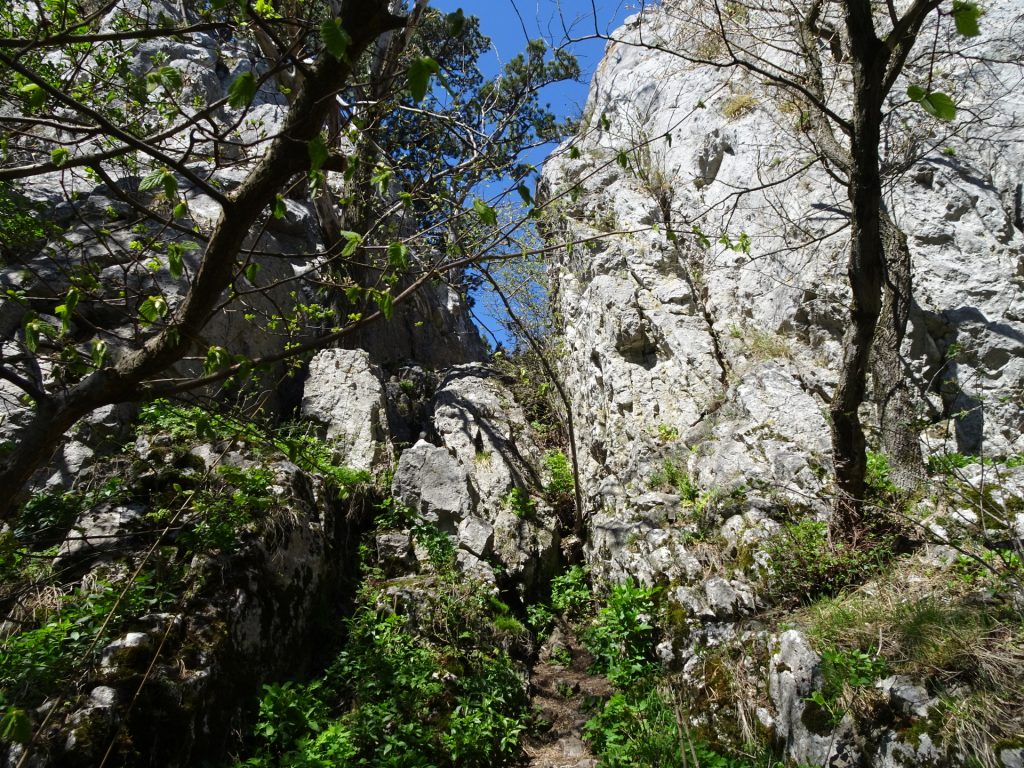 Climbing up the "Hausstein"