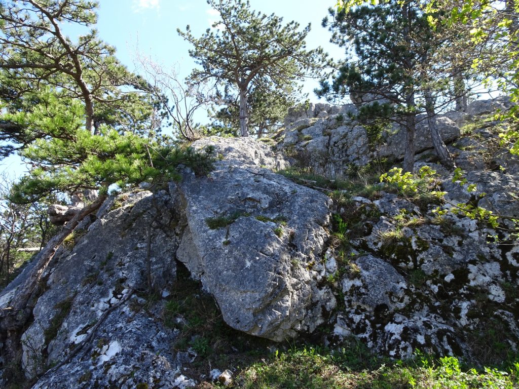 Final climb up to Hausstein