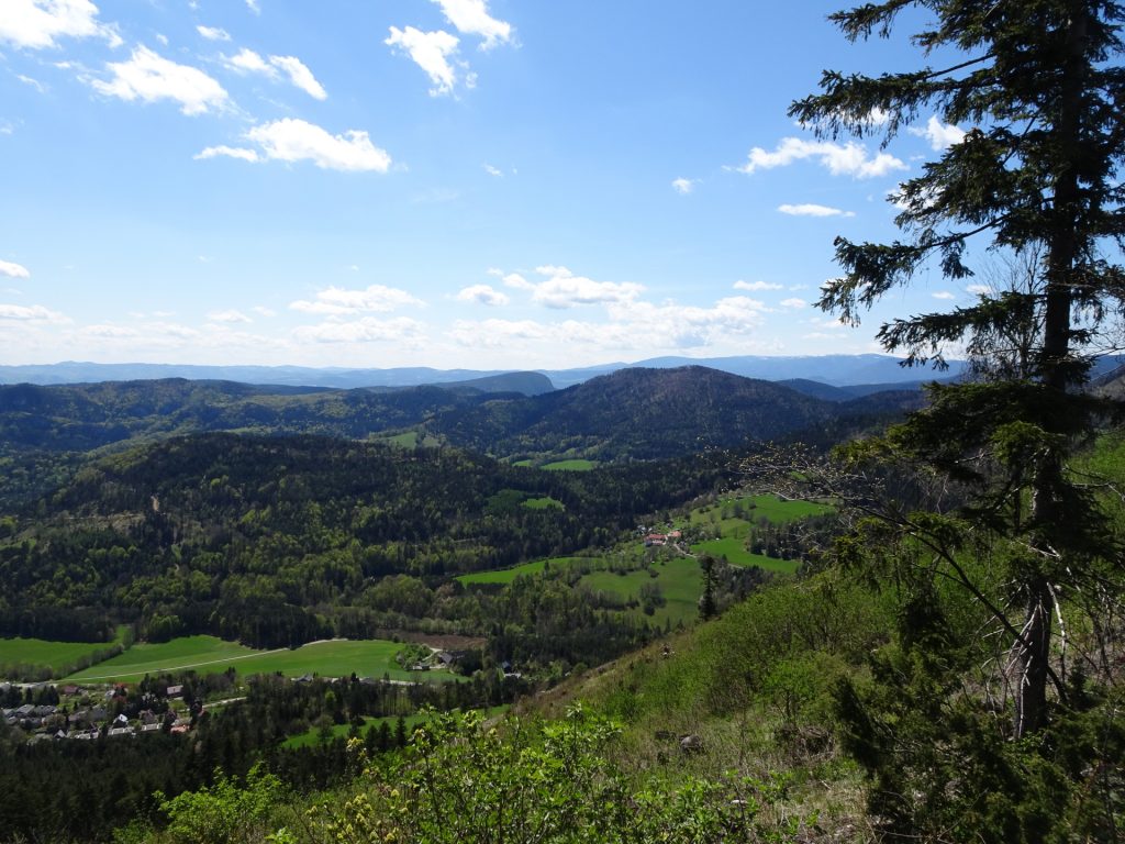 View from the trail up to "Gelände"