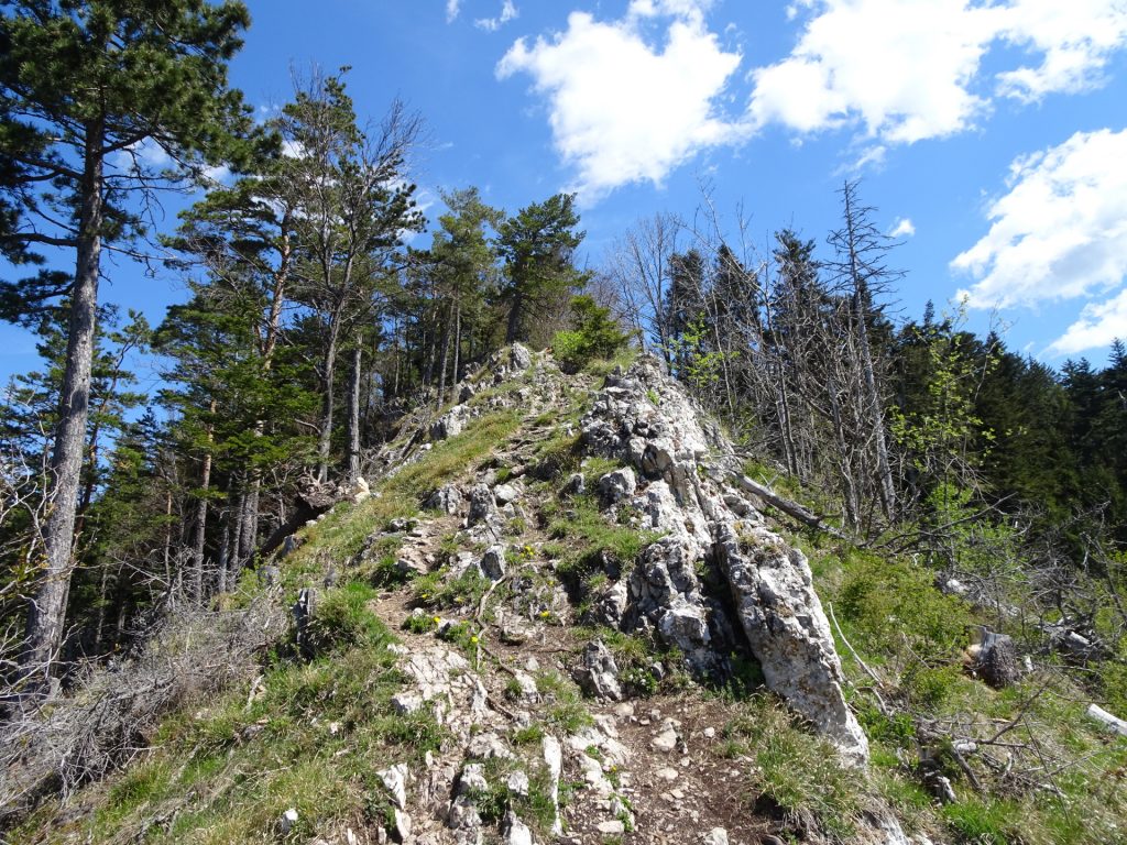 Trail up to "Gelände"