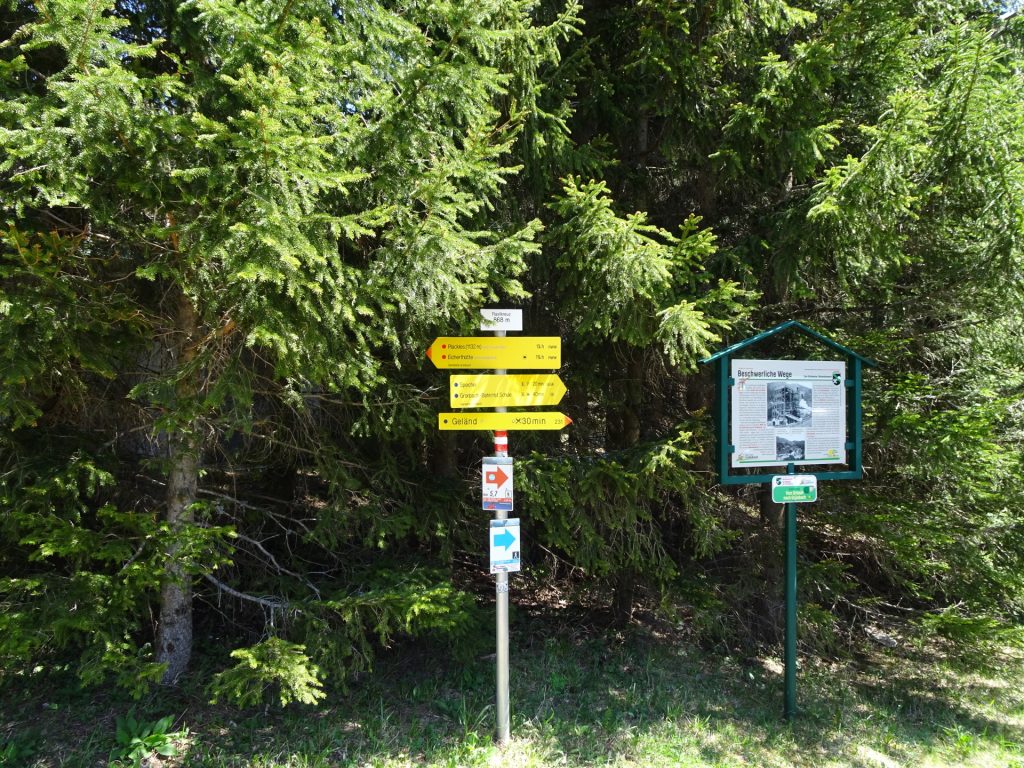 At the "Rastkreuzsattel" (follow the signpost towards "Eicherthütte")