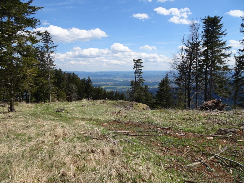 Towards the "Eicherthütte"