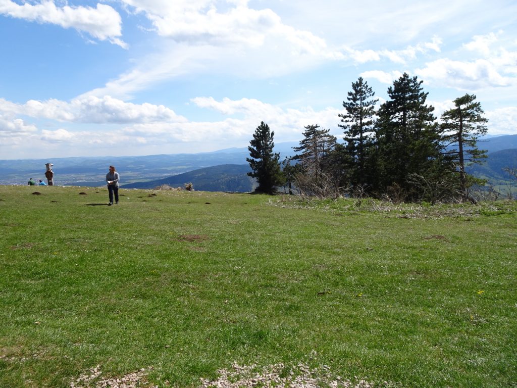 View at the "Eicherhütte" (Große Kanzel)