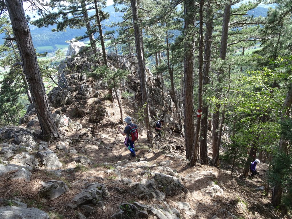 Descending via "Springlessteig" (A, I-)