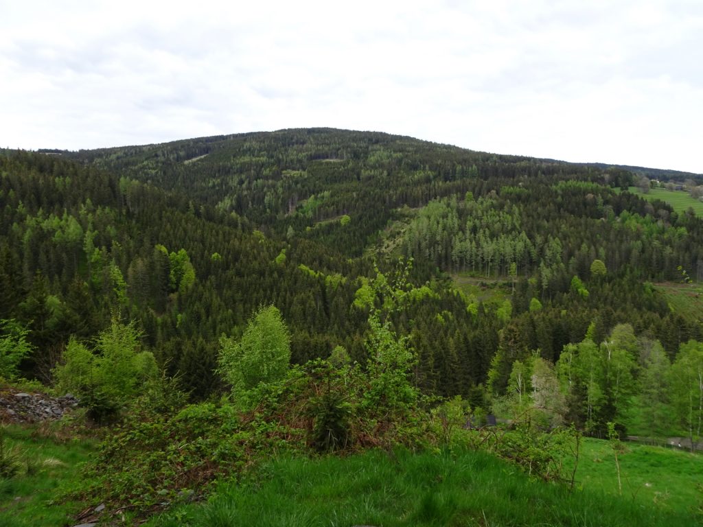 View from "Schindelsteig"