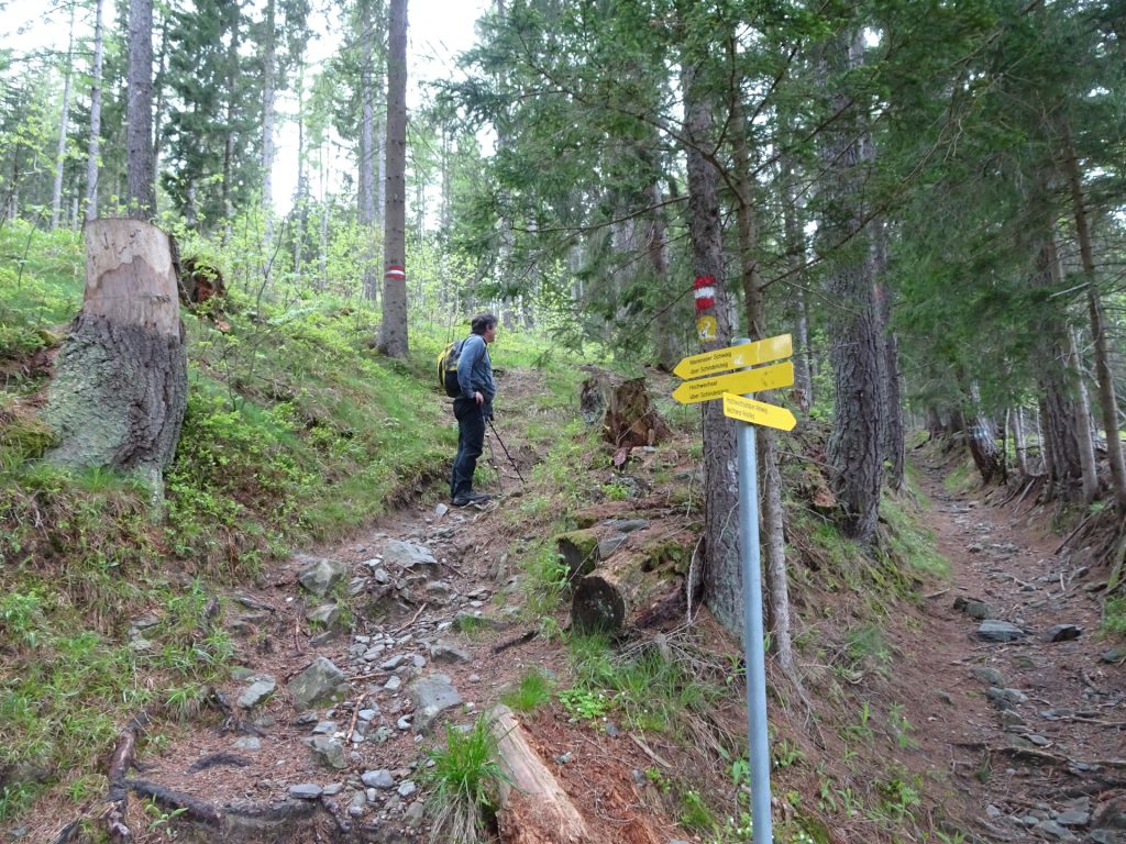 Hiking up towards "Marienseer Schwaig" via the "Schindelsteig"