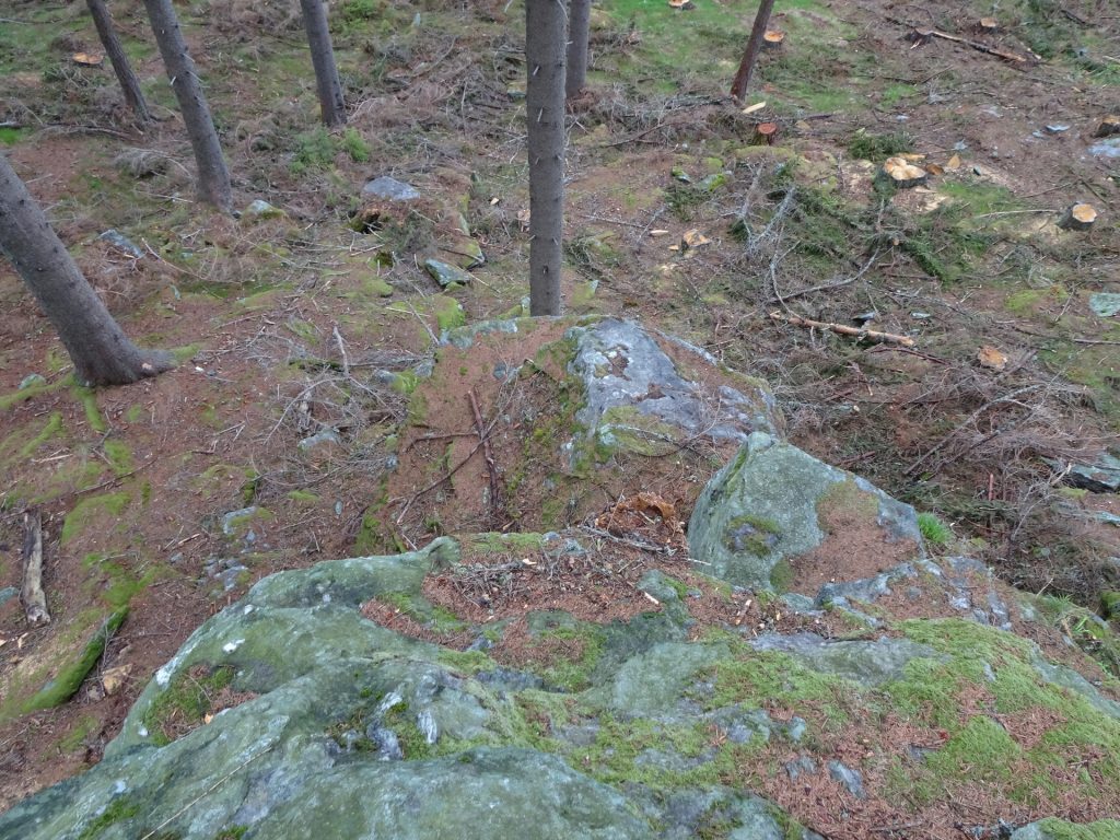 Climbing up the rocks