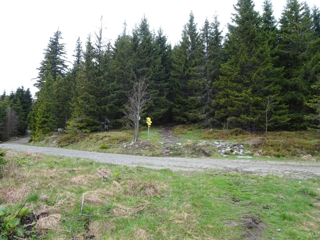 Trail towards "Marienseer Schwaig"