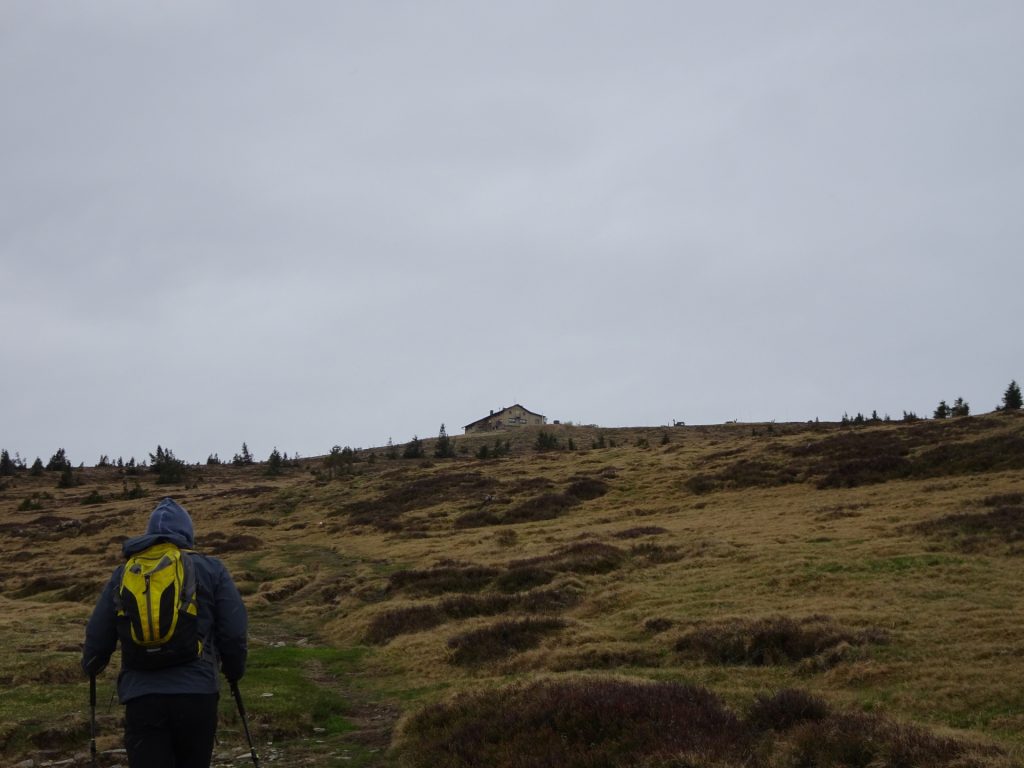 Towards the "Hochkoglerhaus" at the "Hochwechsel"