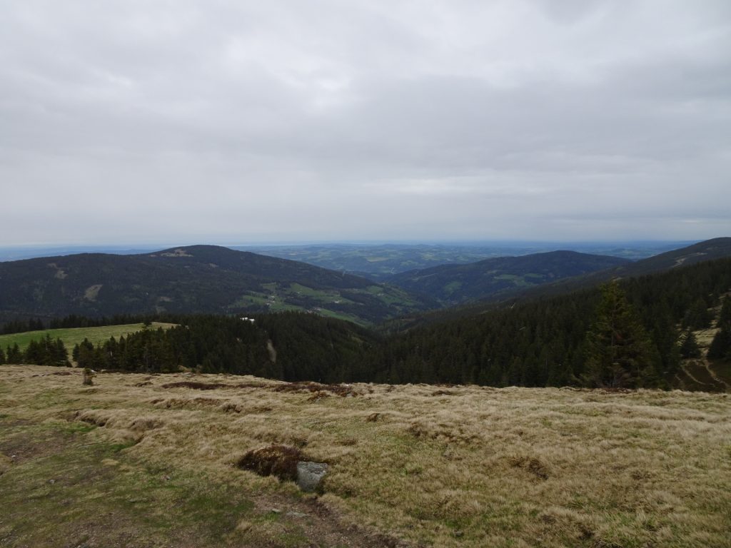 View back towards "Marienseer Schwaig"