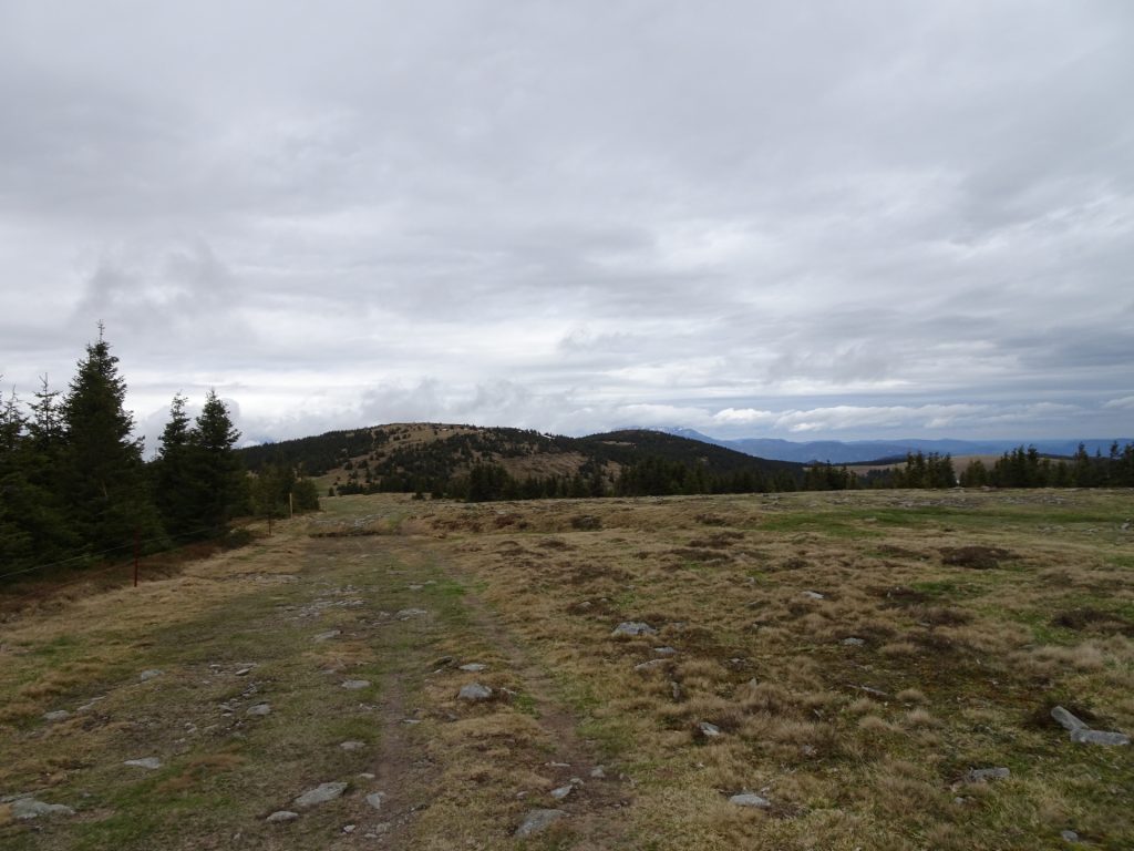 Trail towards "Umschussriegel"