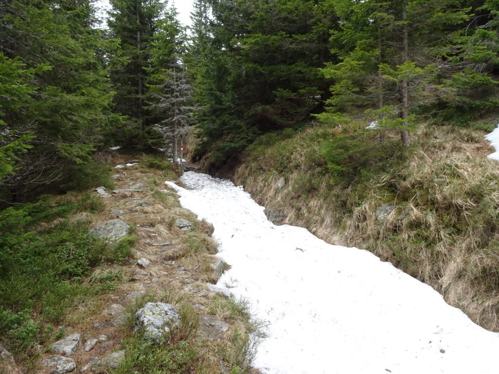 Still a lot of snow on the trail