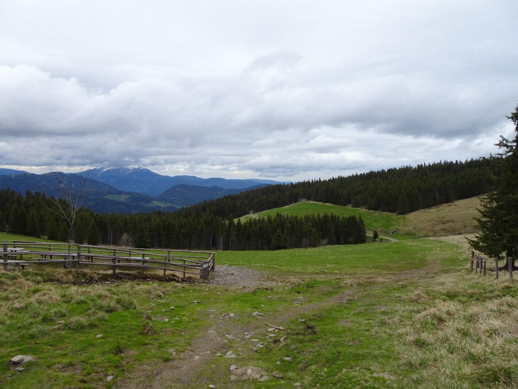 Approaching the "Kranichberger Schwaig"