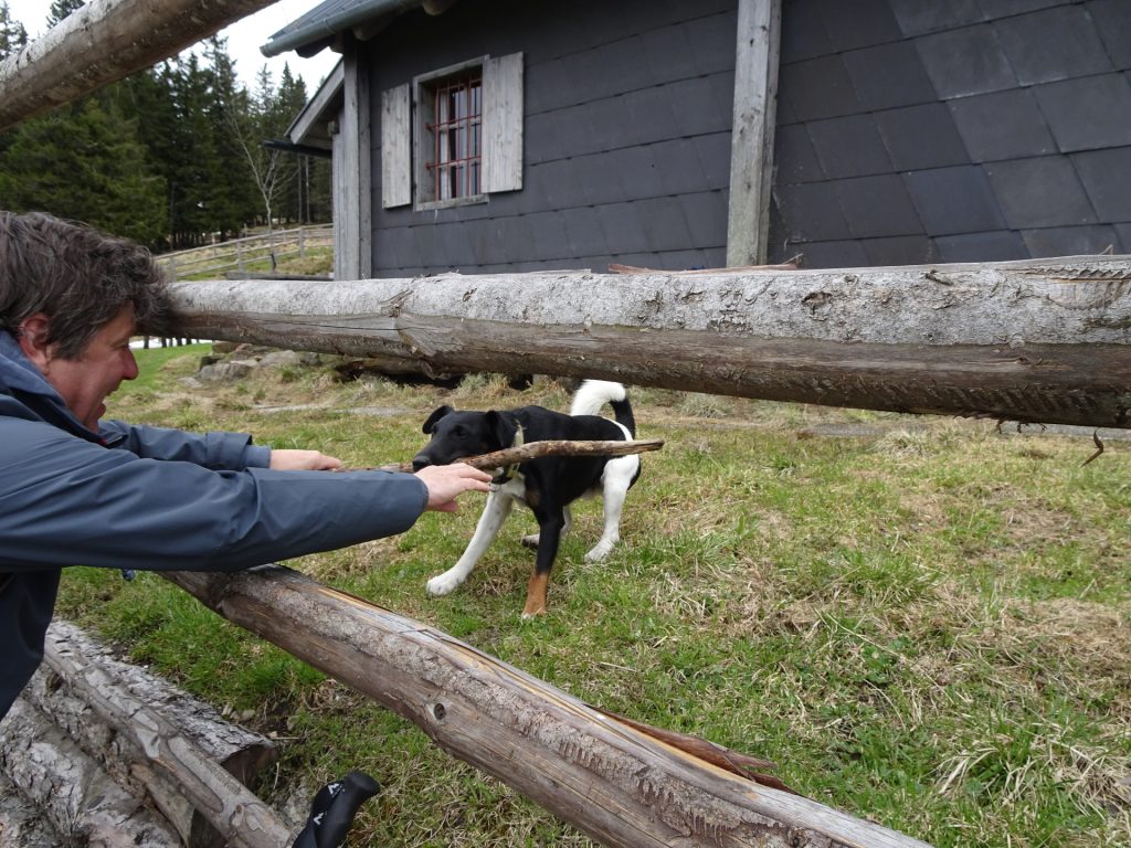 Robert plays with the dog of "Kranichberger Schwaig"