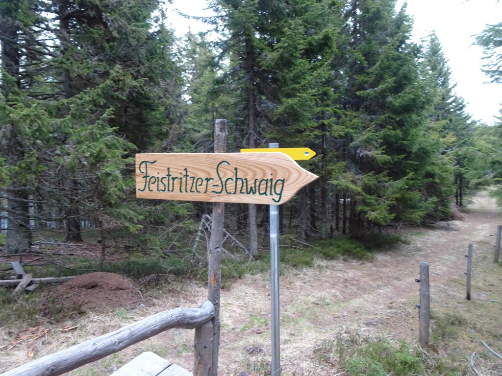 Crossing towards "Feistritzer Schwaig"