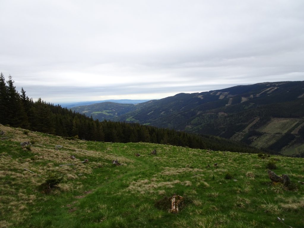 View from the "Feistritzer Schwaig"