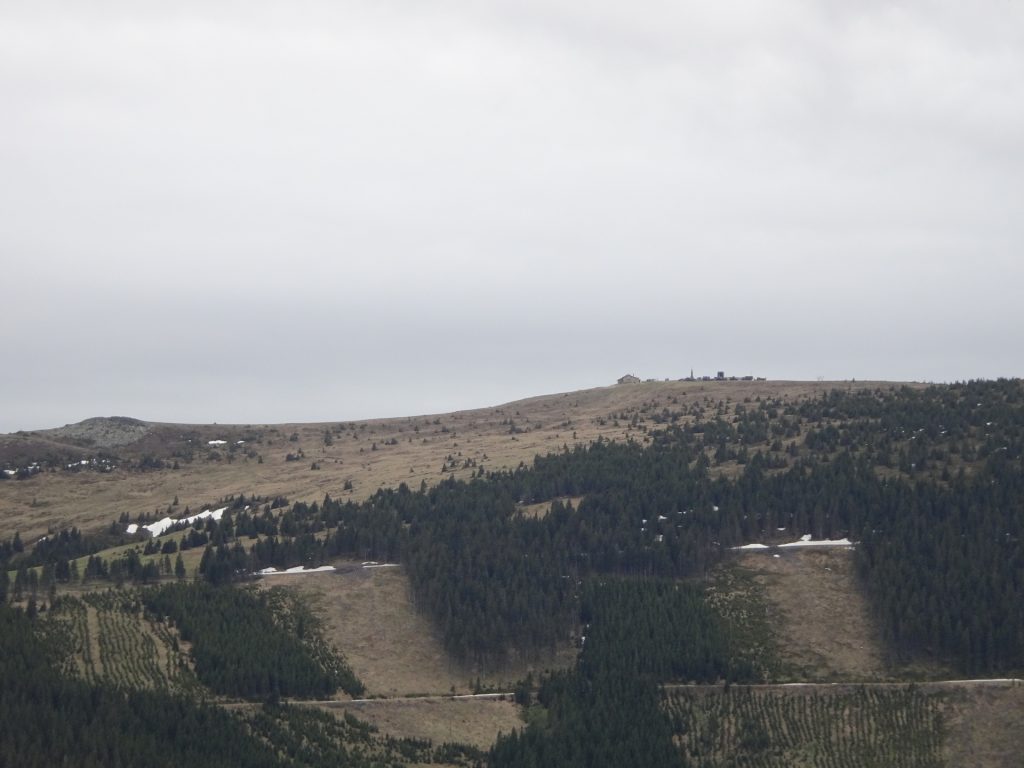 View towards "Hochwechsel" from "Feistritzer Schwaig"