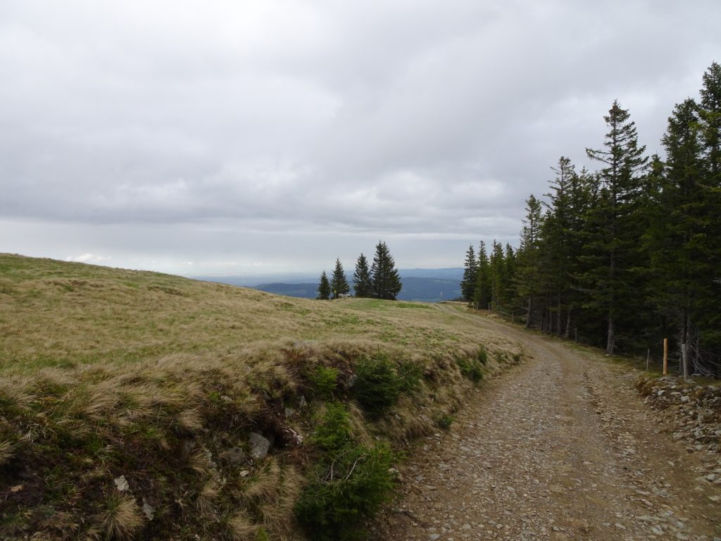 On the trail towards "Kampsteiner Schwaig"