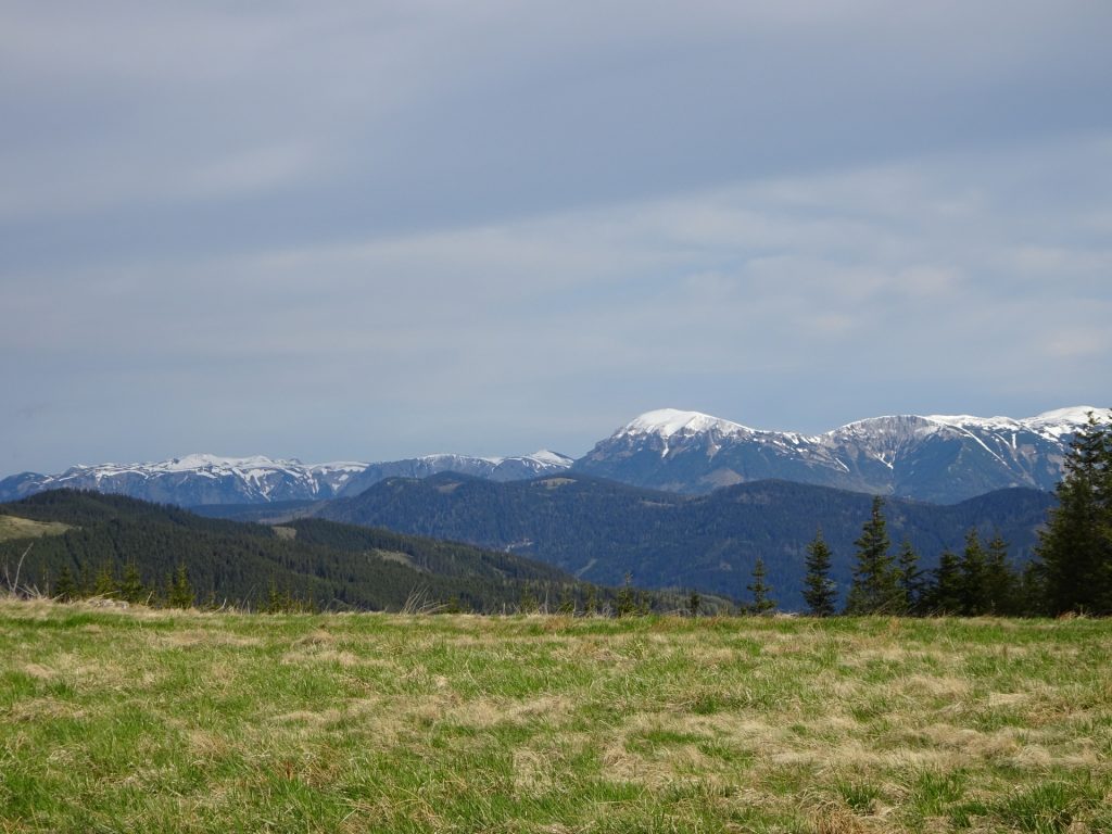 View towards Rax/Schneeberg group from Harterkogel plateau