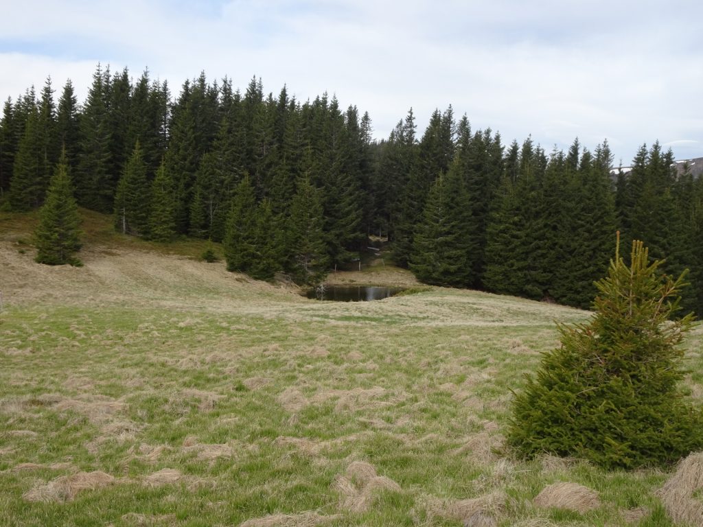 The small pond on the trail towards "Großer Pfaff"