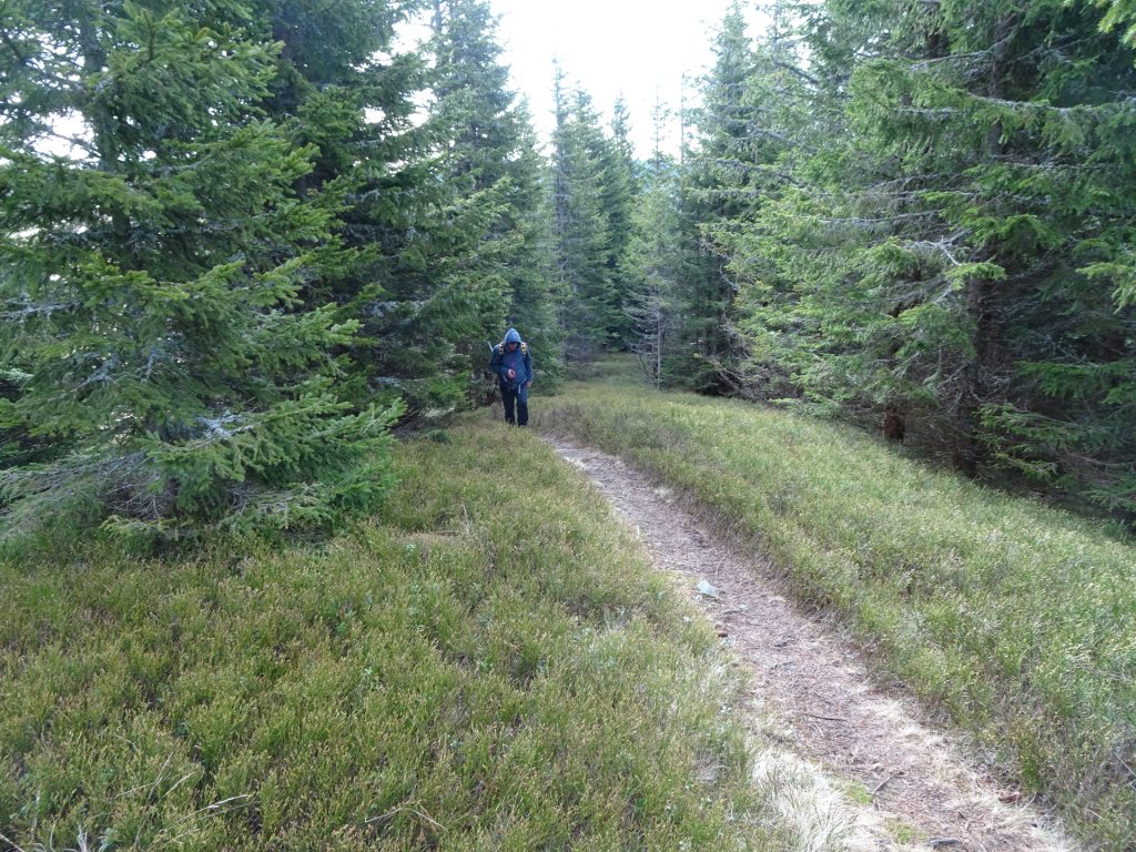 Robert on the trail towards "Großer Pfaff"