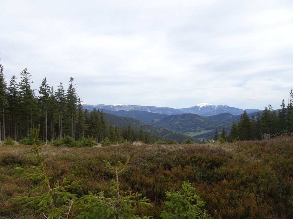 The Rax/Schneeberg group seen from the trail