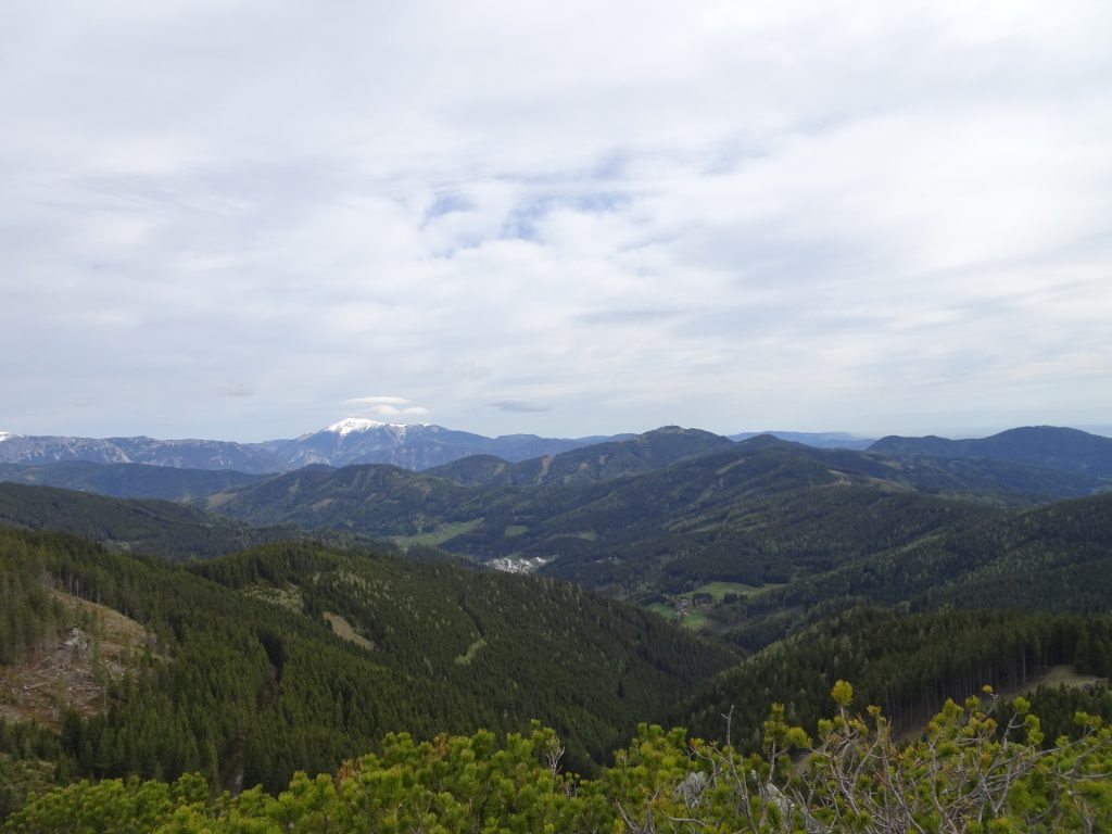 View towards Rax/Schneeberg group from "Großer Pfaff"