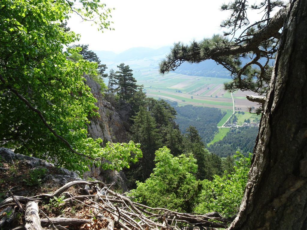 View from the trail (ridge) towards "Hubertushaus"