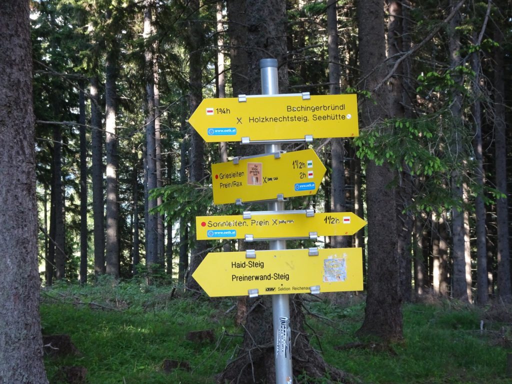 Now follow the white-red-white trail towards "Preinerwand-Steig"