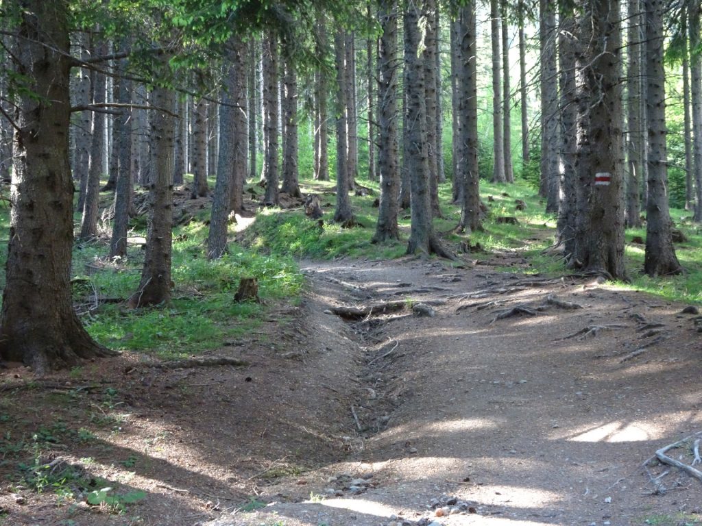 Trail towards "Preinerwand-Steig"