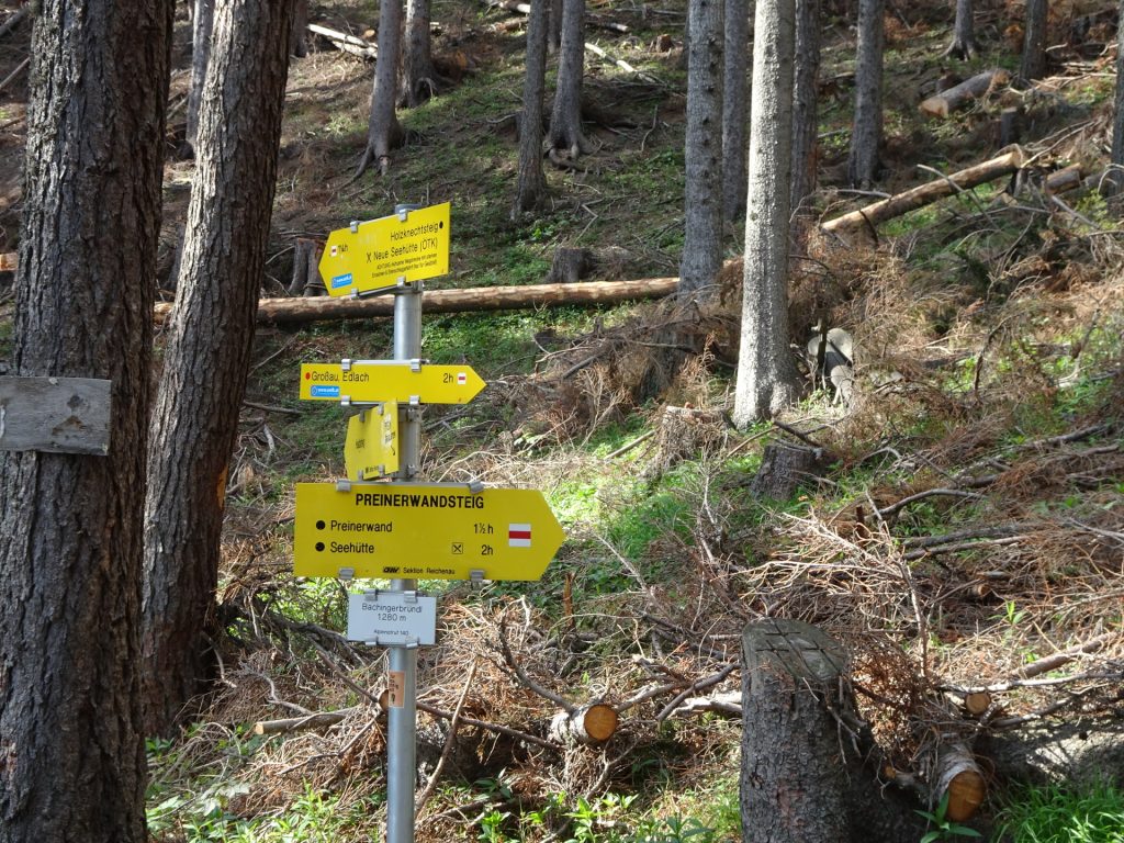 Turn right and follow the white-red-white marked trail towards "Preinerwand"