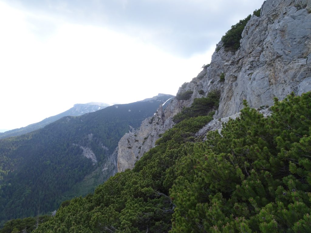 View from the "Preinerwand-Steig"